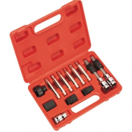 Set de chei pentru fulii de alternator - 13 piese