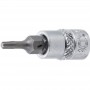 Imbus cu cap Torx T10 patrat 1/4